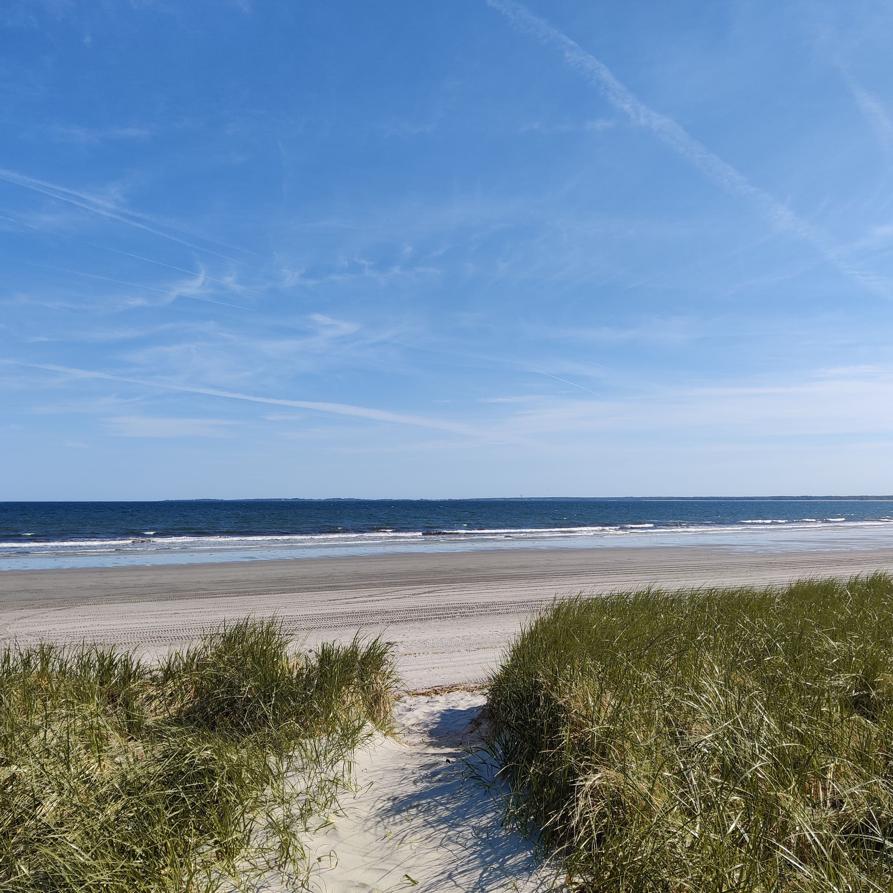 the dunes! and a massive empty beach to enjoy :)