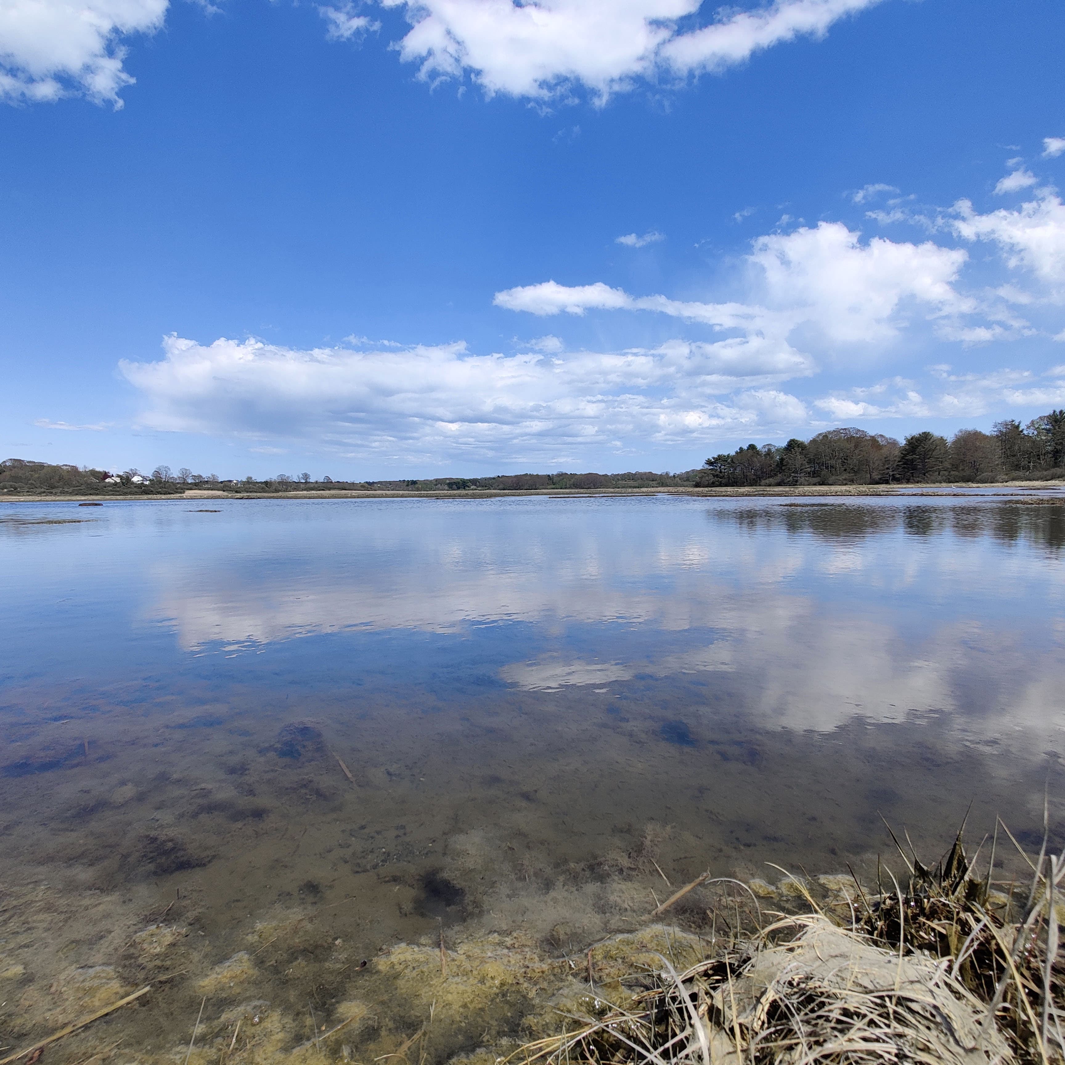 the water's clear enough for a nice reflection